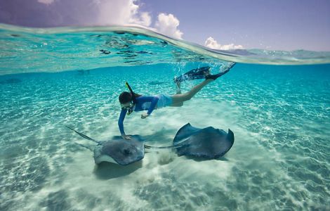 Beach-vacations-snorkeling-sting-rays