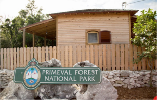 Primeval Forest National Park